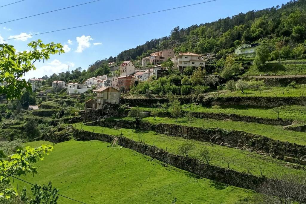 洛里加Casa Do Pelourinho - T1别墅 外观 照片